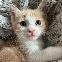 Photo of Whoopsie