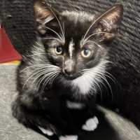 Photo of Max And Oliver