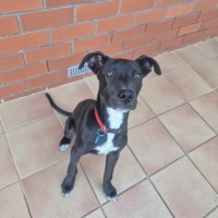 Photo of Cosmo 