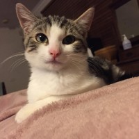 Photo of Mr Shmeagal