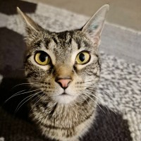 Photo of Yuki