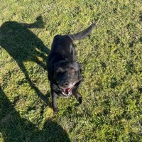 Photo of Jet