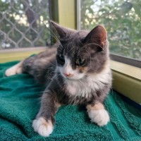 Photo of Twix