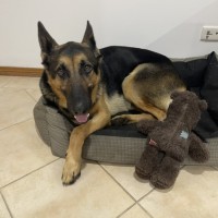 Photo of Maxamillion (Max)