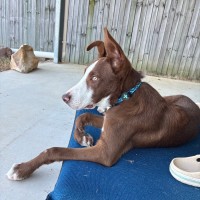 Photo of Wally 