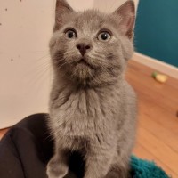 Photo of Sammy