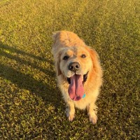 Photo of Maverick