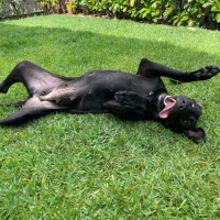 Photo of D1201 Mabel