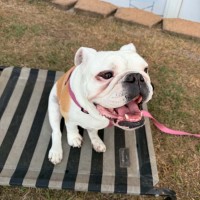 Photo of Betty