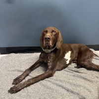 Photo of Henry