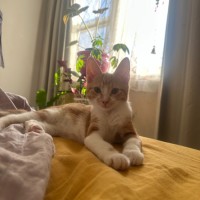 Photo of Roxy & Eggsy