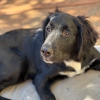 Photo of Optimus Prime