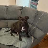 Photo of Rocket
