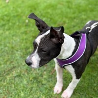 Photo of Zora 
