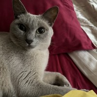 Photo of Justi & Moni