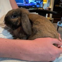 Photo of Milo And Raven