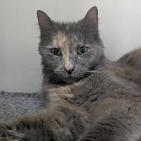 Photo of 💞 Tilly 6927 💞