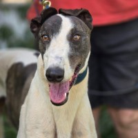 Photo of Deal Breaker