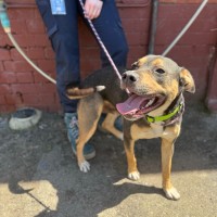 Photo of Zeus