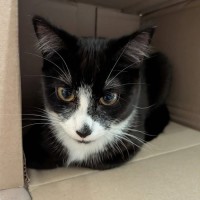 Photo of Slinky