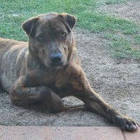 Photo of Melvin