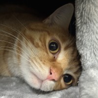 Photo of George