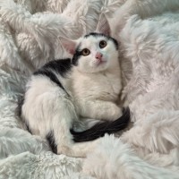 Photo of Levi