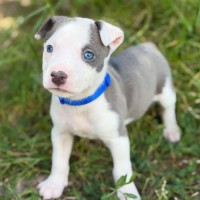 Photo of Leroy