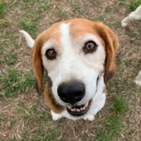 Photo of Enzo And Mia