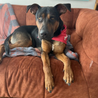 Photo of Chimichurri