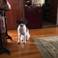 Photo of Rupert
