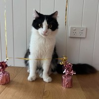 Photo of Floof