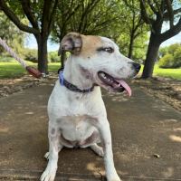 Photo of Boujee