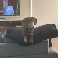 Photo of Bailey And Bentley