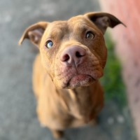 Photo of Remi