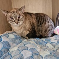 Photo of C1498 Bernie