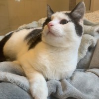 Photo of Max