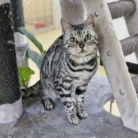 Photo of Tara And Fantasy 