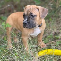 Photo of Eli