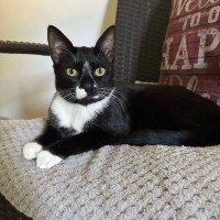 Photo of Rocky