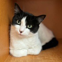 Photo of 🤍  Hannah Banana ❤︎