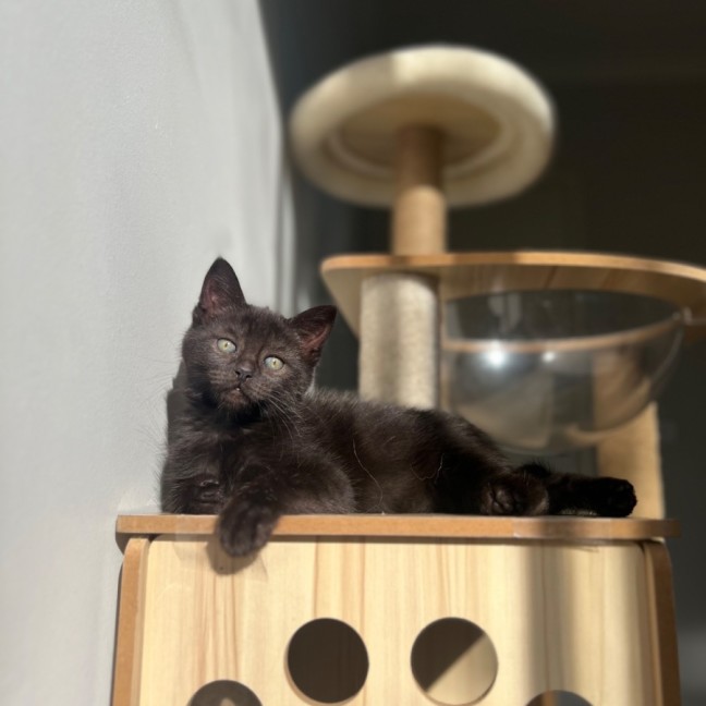 Photo of Ember ❤️‍🔥