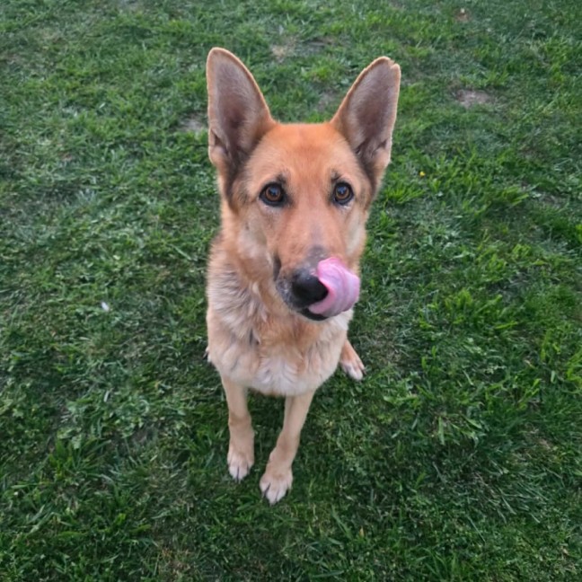 Photo of Lucy