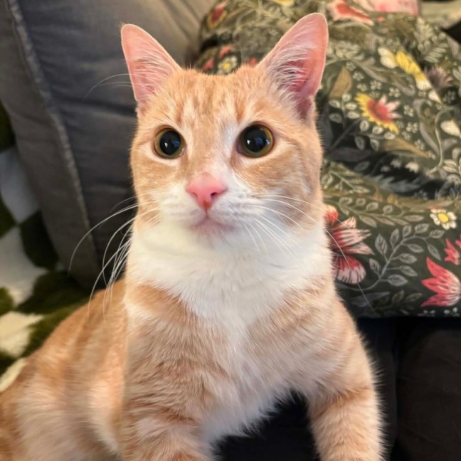Photo of Fred🧡