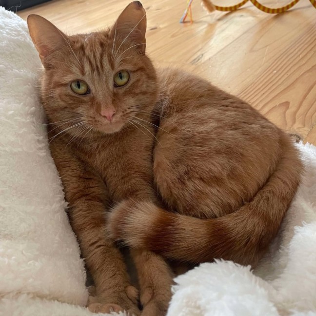 Photo of August 🧡