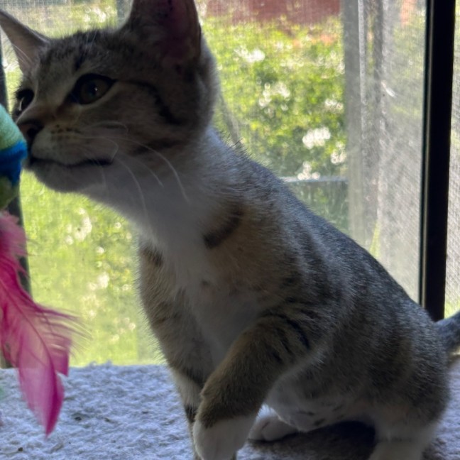 Photo of Sophie 😻