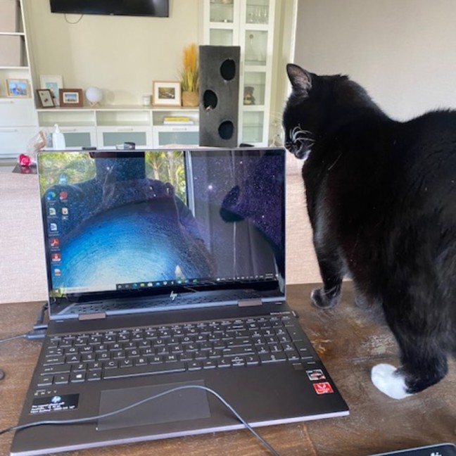 Photo of Snowy