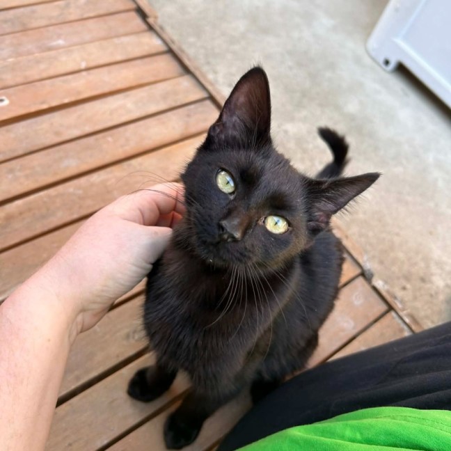 Photo of Zuzu