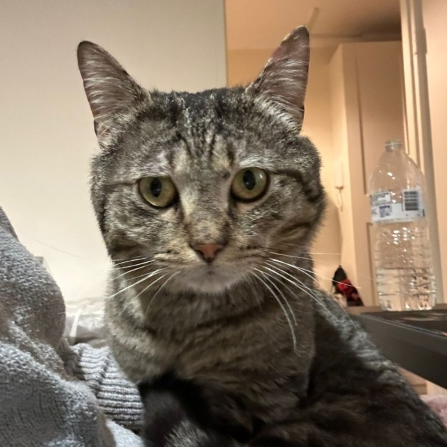 Photo of Unai The Mushroom