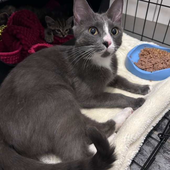 Photo of Rebel Whopper 🍔 🍟 🥤 